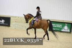22BUCK_03387 proof