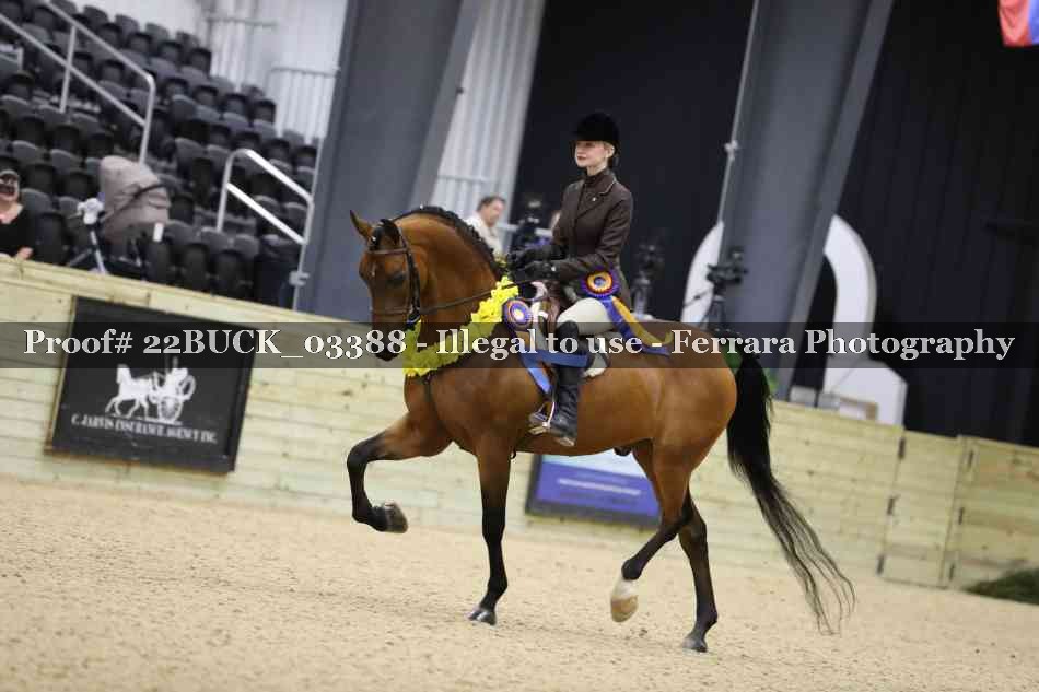 Proof 22BUCK_03388