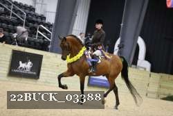 22BUCK_03388 proof