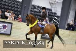 22BUCK_03389 proof