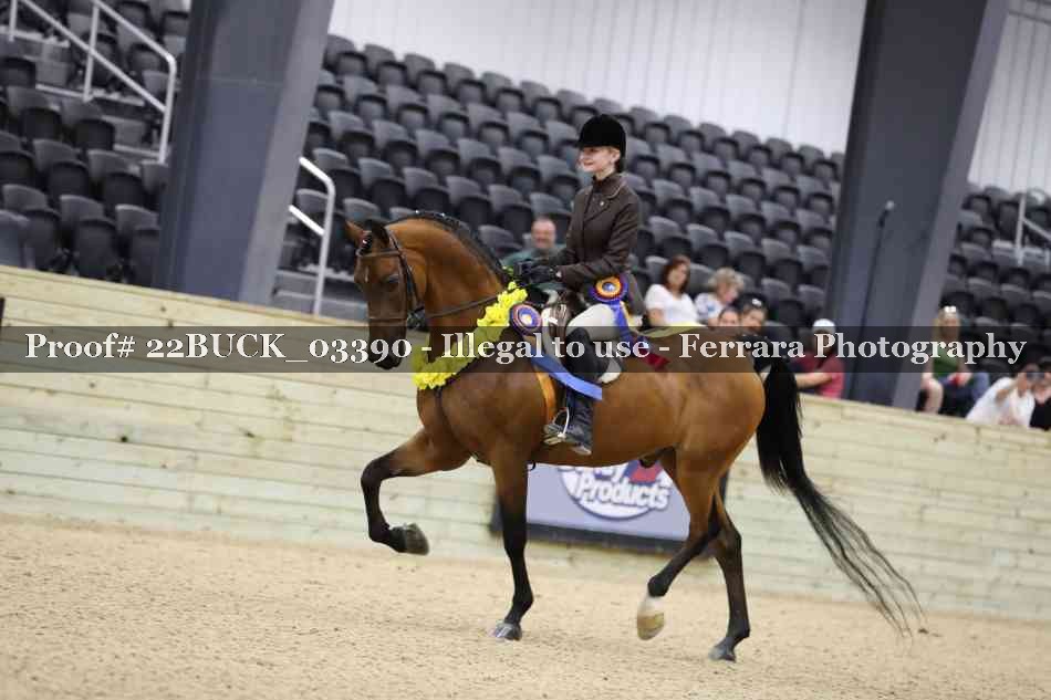 Proof 22BUCK_03390
