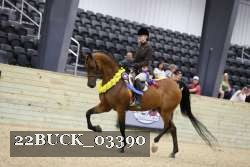 22BUCK_03390 proof