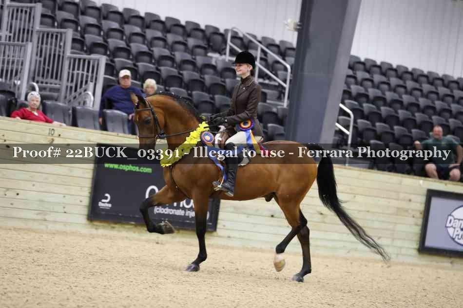 Proof 22BUCK_03391
