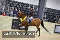 22BUCK_03391 proof
