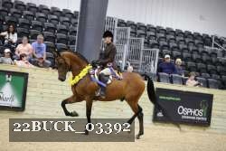 22BUCK_03392 proof