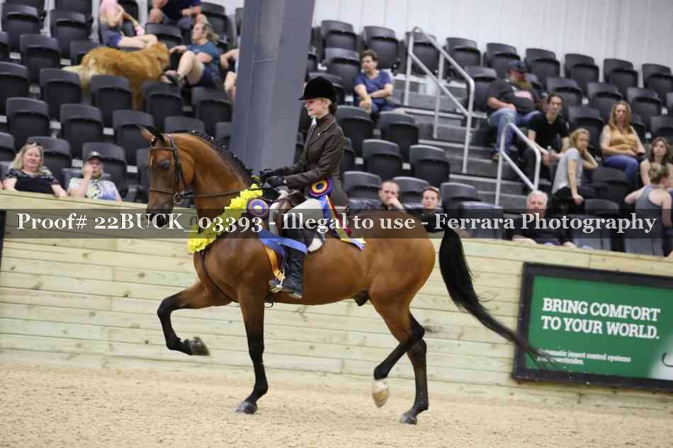 Proof 22BUCK_03393