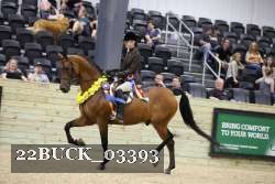 22BUCK_03393 proof