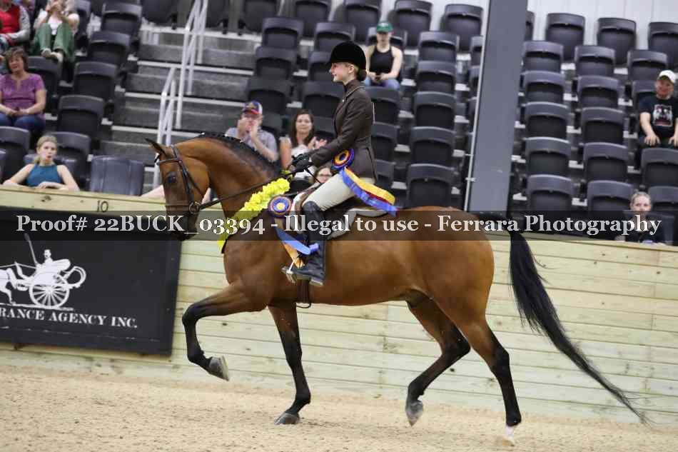 Proof 22BUCK_03394
