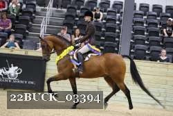 22BUCK_03394 proof