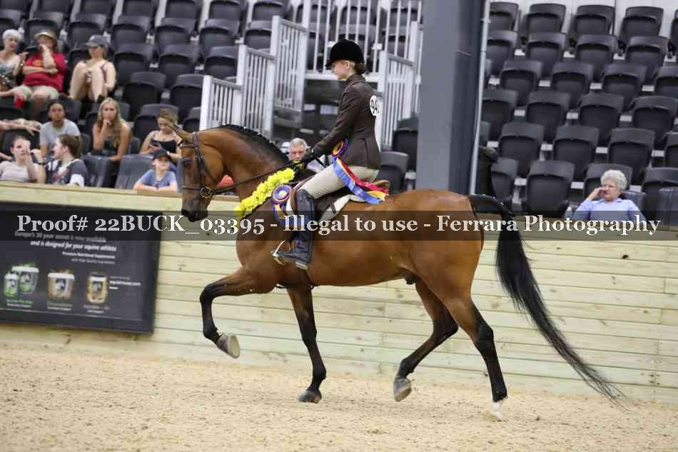 Proof 22BUCK_03395