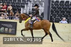 22BUCK_03395 proof