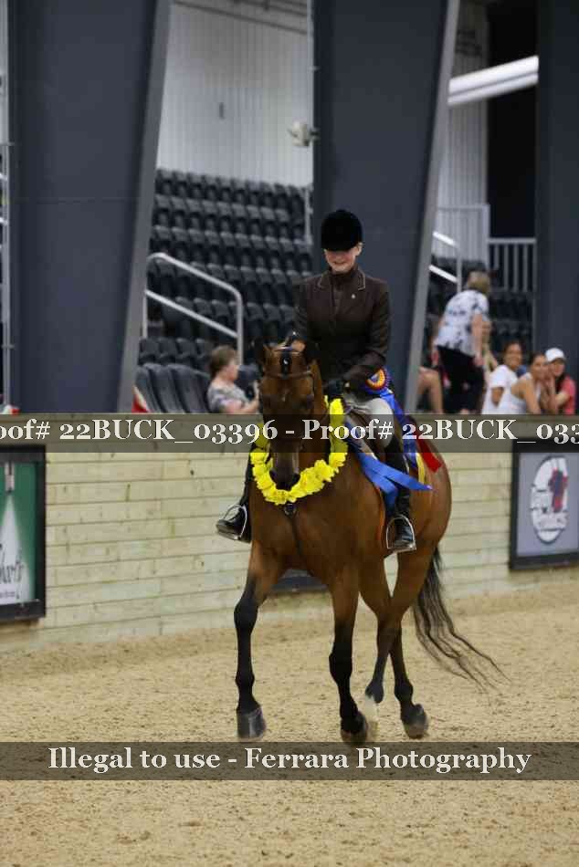 Proof 22BUCK_03396
