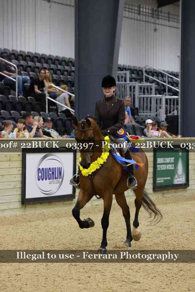 Proof 22BUCK_03397