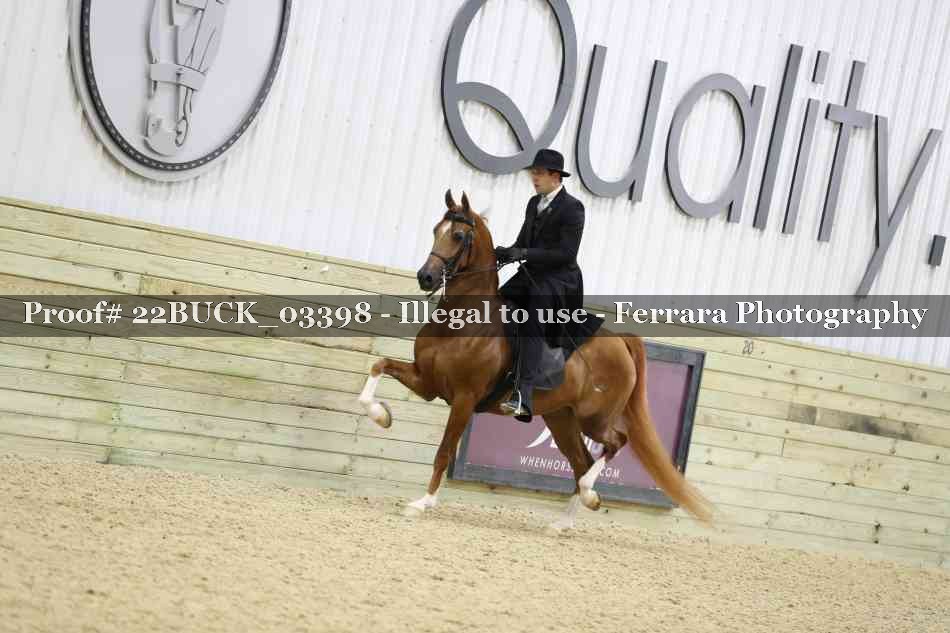 Proof 22BUCK_03398
