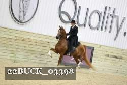22BUCK_03398 proof