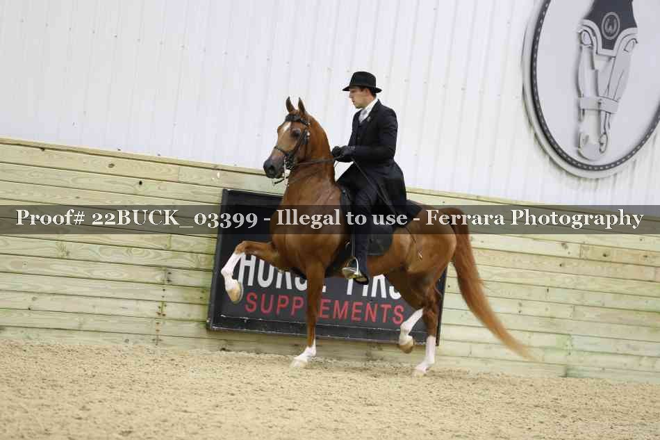 Proof 22BUCK_03399