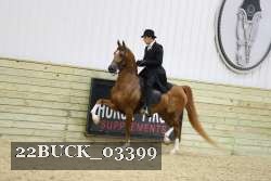22BUCK_03399 proof