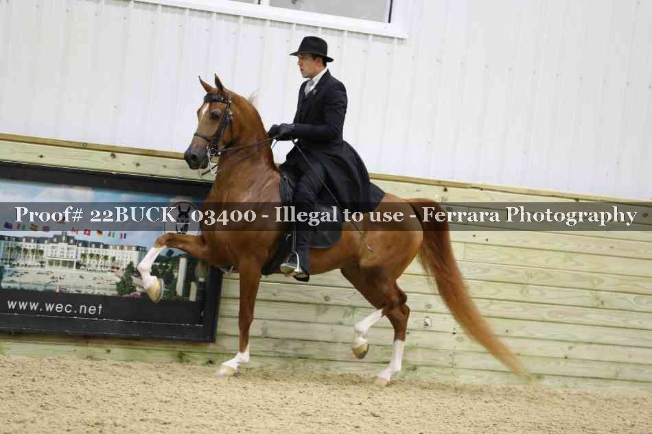 Proof 22BUCK_03400