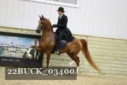 22BUCK_03400 proof