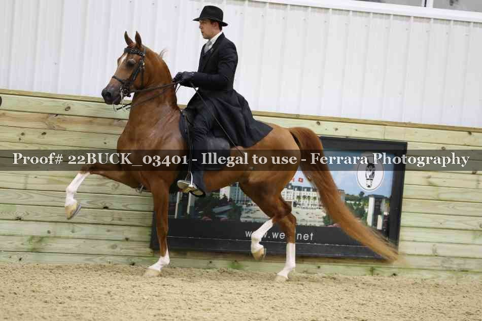 Proof 22BUCK_03401