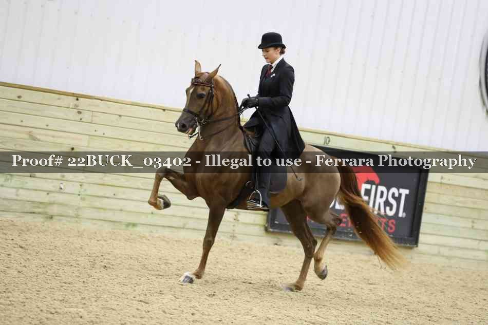 Proof 22BUCK_03402