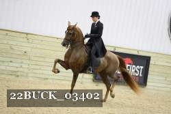 22BUCK_03402 proof