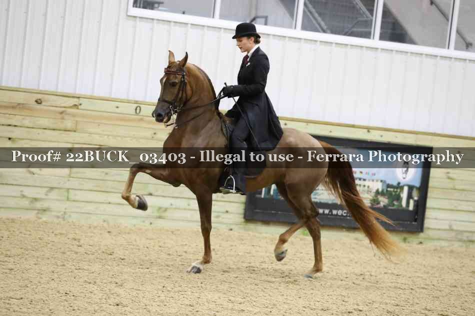 Proof 22BUCK_03403