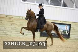 22BUCK_03403 proof
