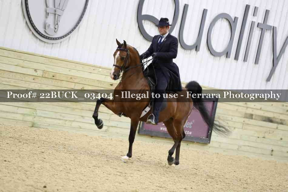 Proof 22BUCK_03404