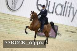 22BUCK_03404 proof