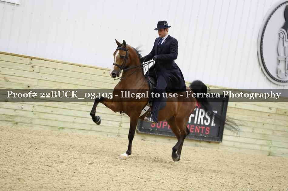 Proof 22BUCK_03405