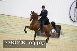 22BUCK_03405 proof