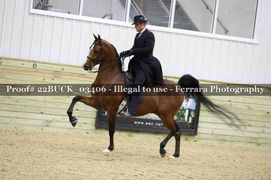 Proof 22BUCK_03406