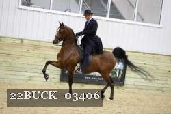 22BUCK_03406 proof