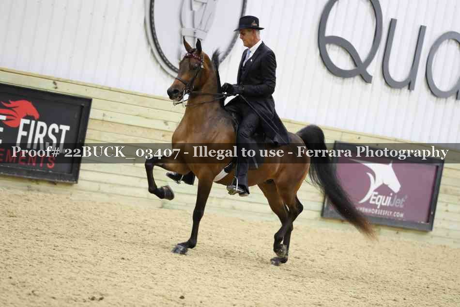 Proof 22BUCK_03407