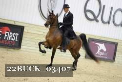 22BUCK_03407 proof