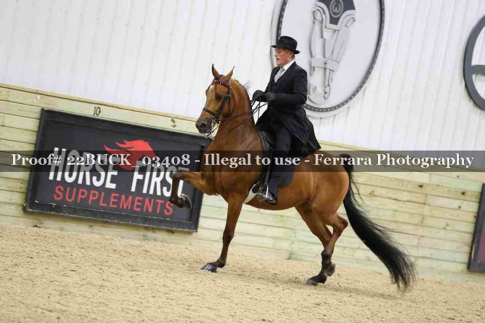 Proof 22BUCK_03408