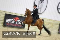 22BUCK_03408 proof