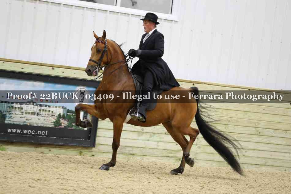 Proof 22BUCK_03409