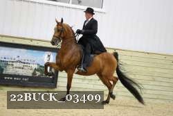 22BUCK_03409 proof
