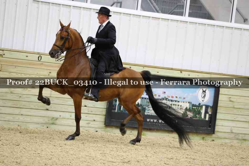 Proof 22BUCK_03410