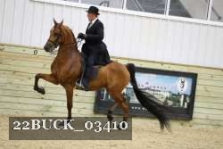 22BUCK_03410 proof