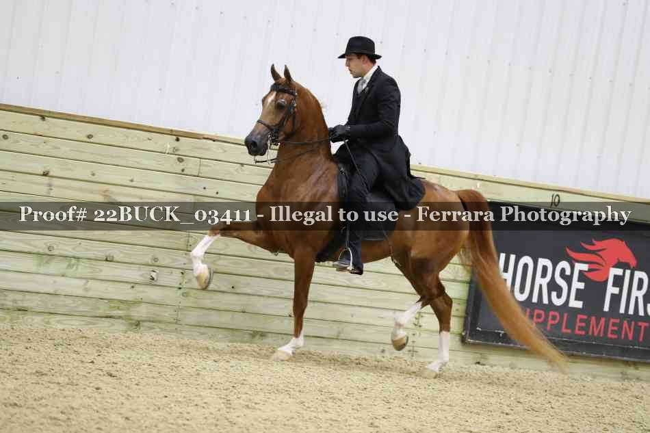 Proof 22BUCK_03411