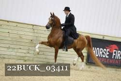 22BUCK_03411 proof
