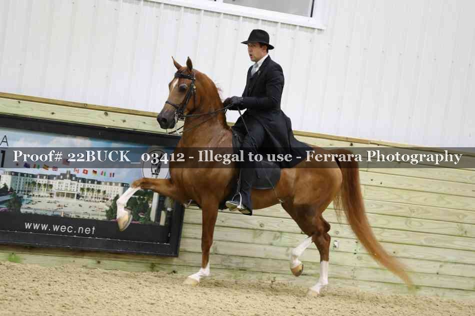 Proof 22BUCK_03412