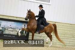 22BUCK_03412 proof