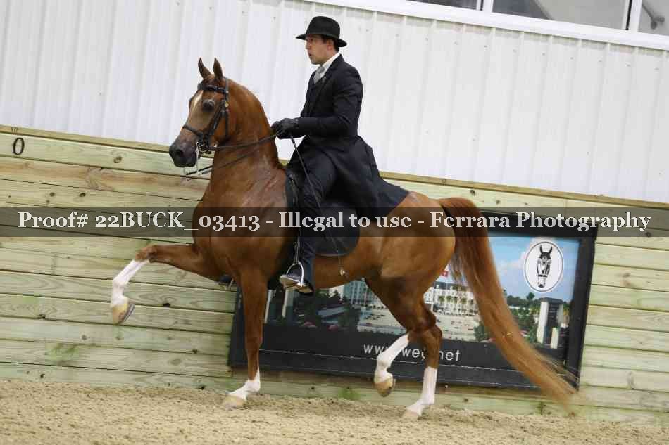 Proof 22BUCK_03413