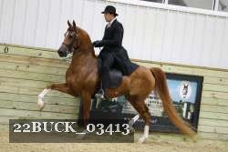 22BUCK_03413 proof
