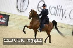 22BUCK_03414 proof