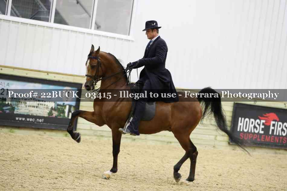 Proof 22BUCK_03415